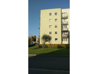 Mieszkanie wielkopolskie
szamotulski
Szamotuły
Szamotuły Do wynajęcia 1500 PLN 38 m2 