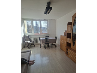 Mieszkanie śląskie
mikołowski
Mikołów Do wynajęcia 1200 PLN 47 m2 