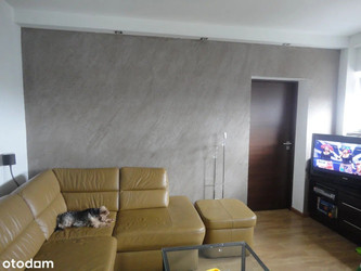 Mieszkanie wielkopolskie
Poznań Do wynajęcia 2000 PLN 38 m2 