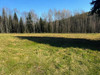 Działka małopolskie
nowosądecki
Gródek nad Dunajcem
Podole-Górowa Na sprzedaż 245 000 PLN 5800 m2 