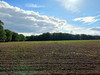 Działka kujawsko-pomorskie
Włocławek Na sprzedaż 224 000 PLN 1520 m2 