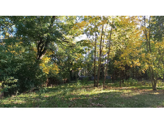 Działka łódzkie
łowicki
Nieborów
Dzierzgówek Na sprzedaż 279 000 PLN 2229 m2 