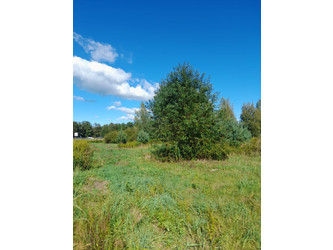 Działka opolskie
opolski
Chrząstowice
Chrząstowice Na sprzedaż 296 000 PLN 1480 m2 