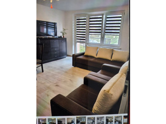 Mieszkanie śląskie
Dąbrowa Górnicza
Reden Do wynajęcia 1450 PLN 40,5 m2 