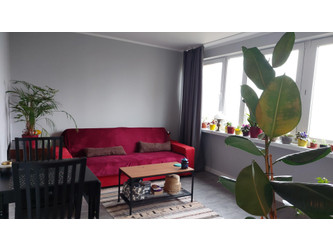 Mieszkanie zachodniopomorskie
Szczecin
Centrum Do wynajęcia 2300 PLN 38 m2 