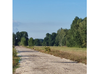 Działka łódzkie
bełchatowski
Drużbice
Zwierzyniec Na sprzedaż 60 000 PLN 1000 m2 