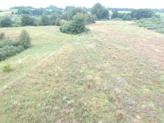 Działka wielkopolskie
gnieźnieński
Trzemeszno
Niewolno Na sprzedaż 1 649 998 PLN 65 500 m2 