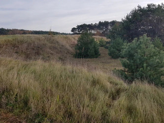 Działka mazowieckie
płoński
Czerwińsk nad Wisłą
Garwolewo Na sprzedaż 2 800 000 PLN 150 000 m2 