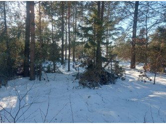 Działka pomorskie
wejherowski
Linia
Zakrzewo Na sprzedaż 212 353 PLN 3540 m2 