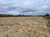 Działka wielkopolskie
chodzieski
Szamocin
Atanazyn Na sprzedaż 200 000 PLN 37 500 m2 