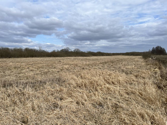 Działka wielkopolskie
chodzieski
Szamocin
Atanazyn Na sprzedaż 200 000 PLN 37 500 m2 