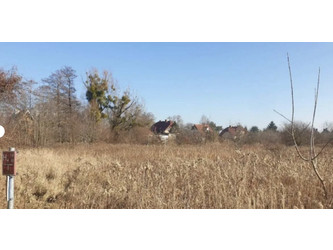 Działka dolnośląskie
Wrocław Do wynajęcia 110 PLN 6500 m2 