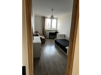 Mieszkanie wielkopolskie
Poznań
Winiary Do wynajęcia 2400 PLN 48 m2 