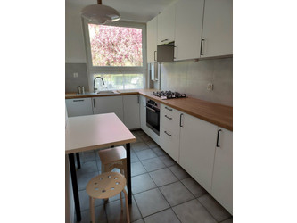 Mieszkanie lubelskie
Lublin
Rury
LSM Do wynajęcia 3300 PLN 55 m2 