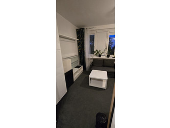 Mieszkanie mazowieckie
Warszawa
Ochota Do wynajęcia 2600 PLN 21,8 m2 