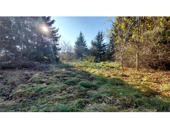 Działka wielkopolskie
Poznań
Szczepankowo-Spławie-Krzesinki
Szczepankowo Na sprzedaż 645 000 PLN 1232 m2 