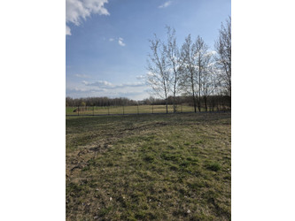 Działka mazowieckie
grójecki
Chynów
Jakubowizna Na sprzedaż 220 000 PLN 1250 m2 