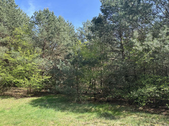 Działka mazowieckie
gostyniński
Gostynin
Gorzewo Na sprzedaż 164 000 PLN 1530 m2 