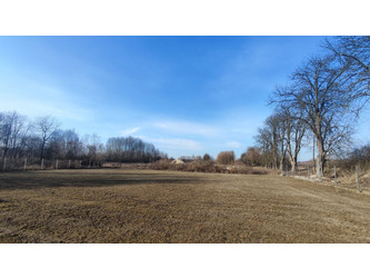 Działka mazowieckie
grodziski
Żabia Wola
Kaleń-Towarzystwo Na sprzedaż 353 540 PLN 1607 m2 