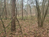 Działka mazowieckie
sokołowski
Sokołów Podlaski
Przywózki Na sprzedaż 8411 PLN 3305 m2 