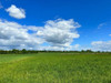 Działka warmińsko-mazurskie
braniewski
Pieniężno
Glebiska Na sprzedaż 53 000 PLN 1400 m2 
