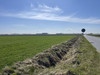 Działka wielkopolskie
kościański
Kościan
Widziszewo Na sprzedaż 7 110 000 PLN 237 000 m2 