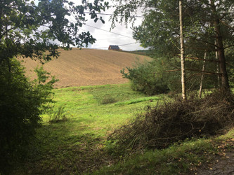 Działka małopolskie
krakowski
Skała
Minoga Na sprzedaż 210 000 PLN 3000 m2 