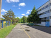 Magazyn warmińsko-mazurskie
Olsztyn
Podgrodzie Do wynajęcia 42 090 PLN 1830 m2 