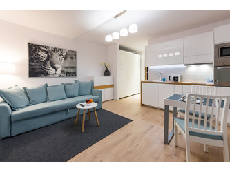 Mieszkanie wielkopolskie
Poznań
Grunwald Do wynajęcia 2100 PLN 24 m2 