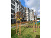 Mieszkanie mazowieckie
Warszawa
Rembertów Do wynajęcia 2700 PLN 38 m2 