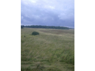 Działka zachodniopomorskie
sławieński
Darłowo
Barzowice Na sprzedaż 104 900 PLN 3000 m2 