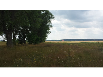 Działka pomorskie
kościerski
Karsin
Wiele Na sprzedaż 460 000 PLN 44 576 m2 