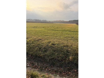 Działka mazowieckie
sokołowski
Kosów Lacki
Telaki Na sprzedaż 605 688 PLN 50 474 m2 