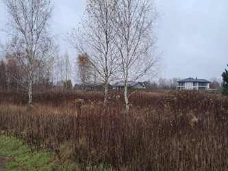 Działka mazowieckie
miński
Dębe Wielkie
Celinów Na sprzedaż 125 000 PLN 700 m2 