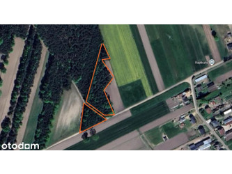 Działka mazowieckie
nowodworski
Nasielsk
Nasielsk Na sprzedaż 89 000 PLN 5778 m2 