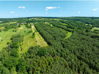 Działka mazowieckie
Warszawa
Daleszyce
Cisów Na sprzedaż 1 250 000 PLN 31 180 m2 