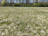 Działka łódzkie
bełchatowski
Rusiec
Zagrodniki Na sprzedaż 180 000 PLN 6200 m2 