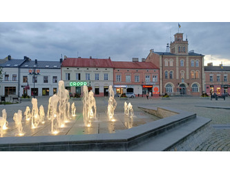 Lokal łódzkie
Skierniewice Do wynajęcia 6755 PLN 193 m2 