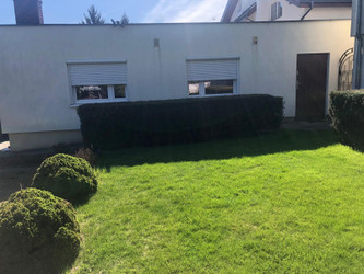 Magazyn wielkopolskie
Poznań
Wola Do wynajęcia 1500 PLN 50 m2 