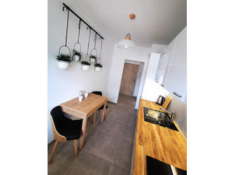 Mieszkanie dolnośląskie
Wrocław Do wynajęcia 3000 PLN 46 m2 