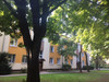 Pokój mazowieckie
Warszawa
Mokotów Do wynajęcia 1499 PLN 