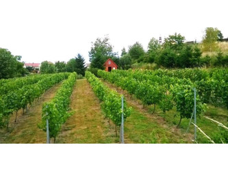 Działka dolnośląskie
ząbkowicki
Kamieniec Ząbkowicki
Byczeń Na sprzedaż 350 000 PLN 2500 m2 