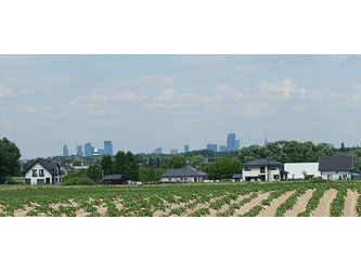 Działka mazowieckie
pruszkowski
Raszyn
Falenty Nowe Na sprzedaż 659 600 PLN 970 m2 