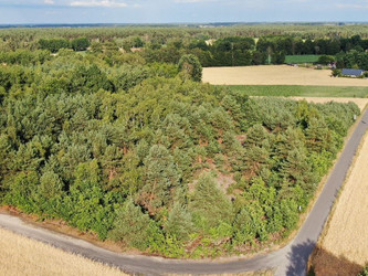 Działka wielkopolskie
koniński
Grodziec
Czarnybród Na sprzedaż 69 000 PLN 1200 m2 