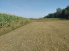 Działka mazowieckie
węgrowski
Miedzna
Miedzna Na sprzedaż 200 000 PLN 1320 m2 