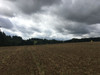 Działka małopolskie
krakowski
Skała
Minoga Na sprzedaż 210 000 PLN 3000 m2 